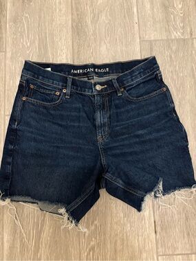 American Eagle Outfitters Dark Blue Denim Shorts